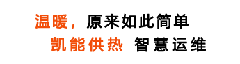 近30年專業(yè)鍋爐制造商,全預(yù)混低氮冷凝燃?xì)忮仩t生產(chǎn)銷售招商