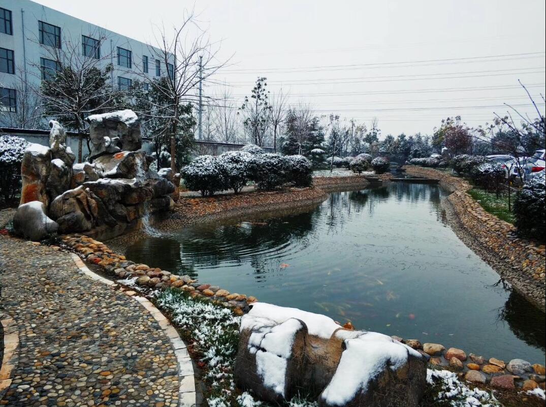 青島凱能雪景
