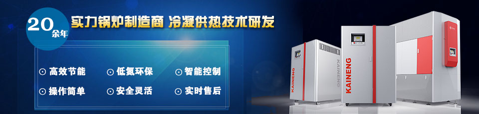 20余年實(shí)力鍋爐制造商，專注冷凝供熱技術(shù)研發(fā)