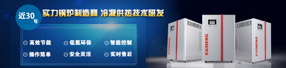 近30年實(shí)力鍋爐制造商，專注冷凝供熱技術(shù)研發(fā)